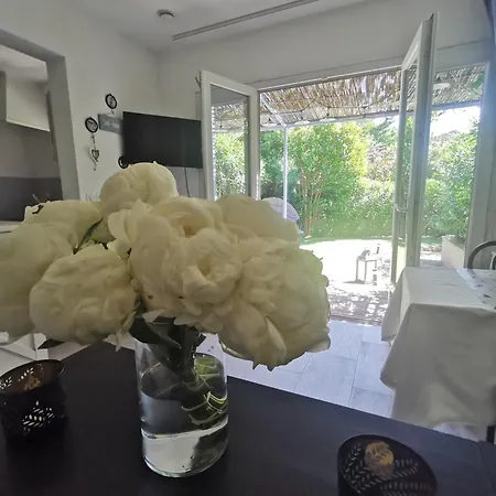 Apartment Jardin Privatif 300m De La Sainte-Maxime